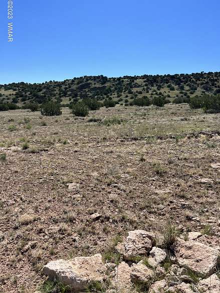40 Acres of Recreational Land for Sale in St. Johns, Arizona