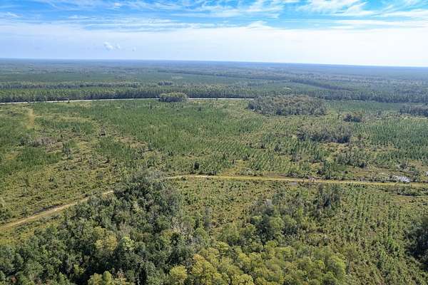 20 Acres of Recreational Land for Sale in Crawfordville, Florida