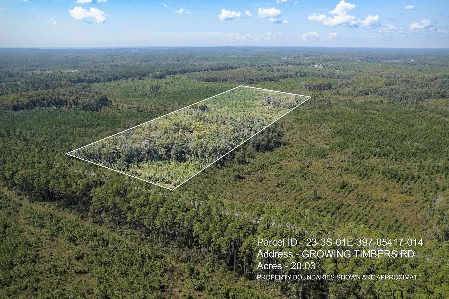 Land For Sale Crawfordville Florida