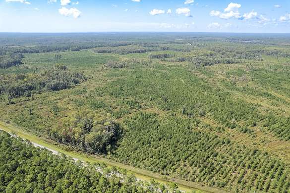 20 Acres of Recreational Land for Sale in Crawfordville, Florida