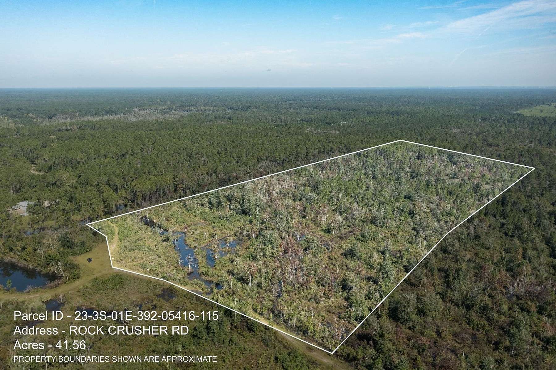 20.1 Acres of Recreational Land for Sale in Crawfordville, Florida