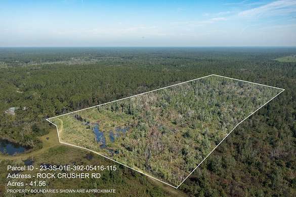 20.05 Acres of Recreational Land for Sale in Crawfordville, Florida