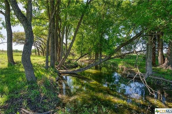 30.1 Acres of Land for Sale in Briggs, Texas