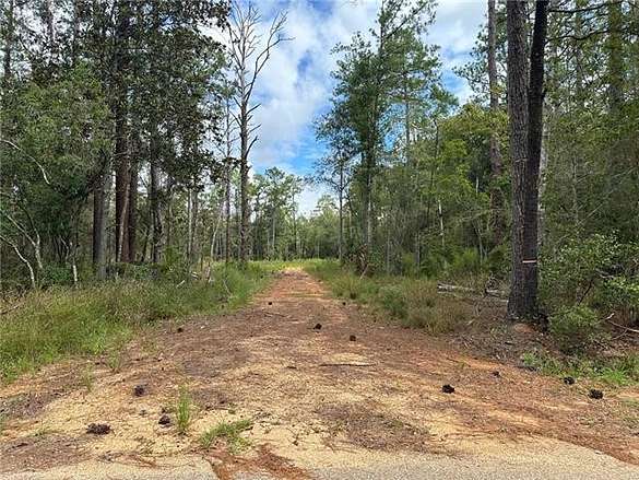 10.3 Acres of Recreational Land for Sale in Folsom, Louisiana