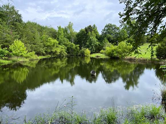 32.5 Acres of Recreational Land & Farm for Sale in Bybee, Tennessee