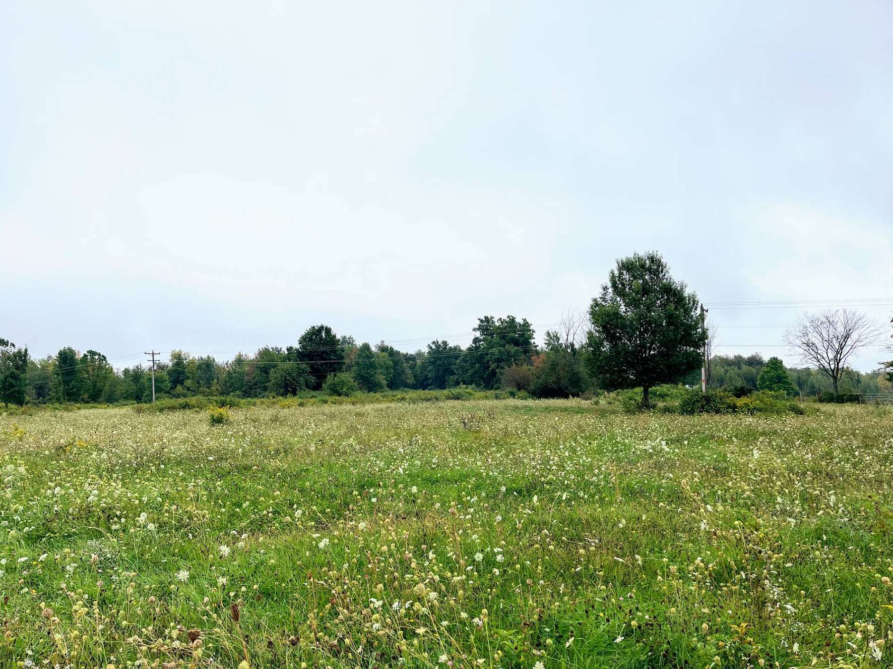 3 Acres of Residential Land for Sale in Potsdam, New York