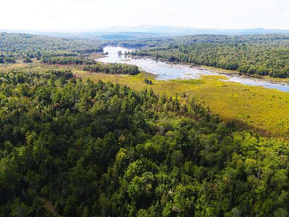 29.74 Acres of Land for Sale in Springfield, New Hampshire