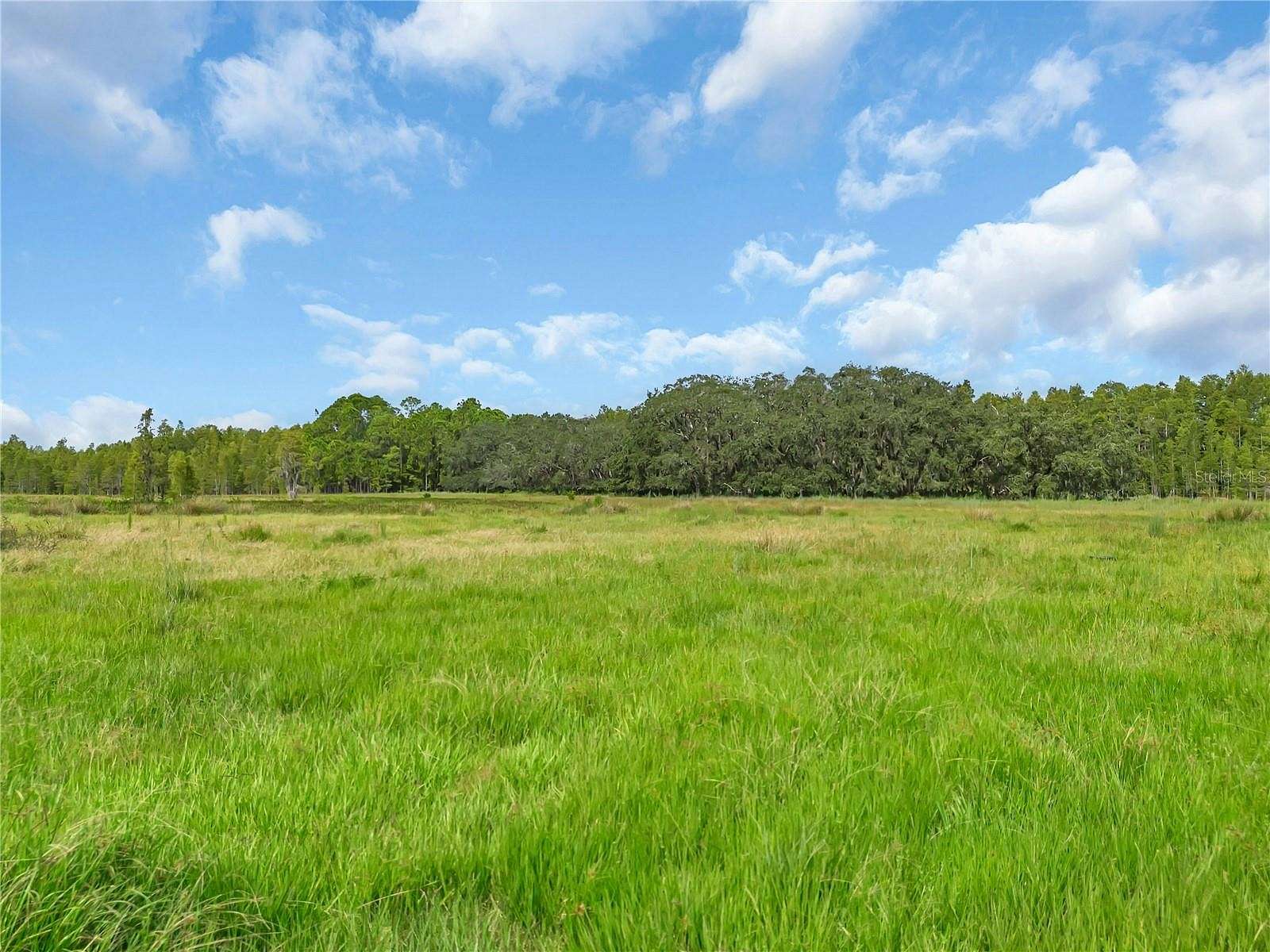 102 Acres of Agricultural Land for Sale in Davenport, Florida