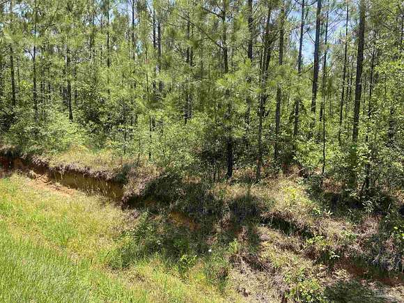40 Acres of Land for Sale in Perdido, Alabama
