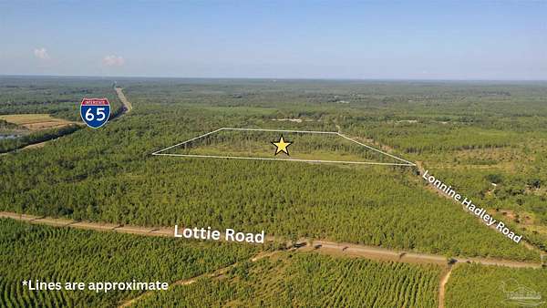 40 Acres of Recreational Land for Sale in Perdido, Alabama