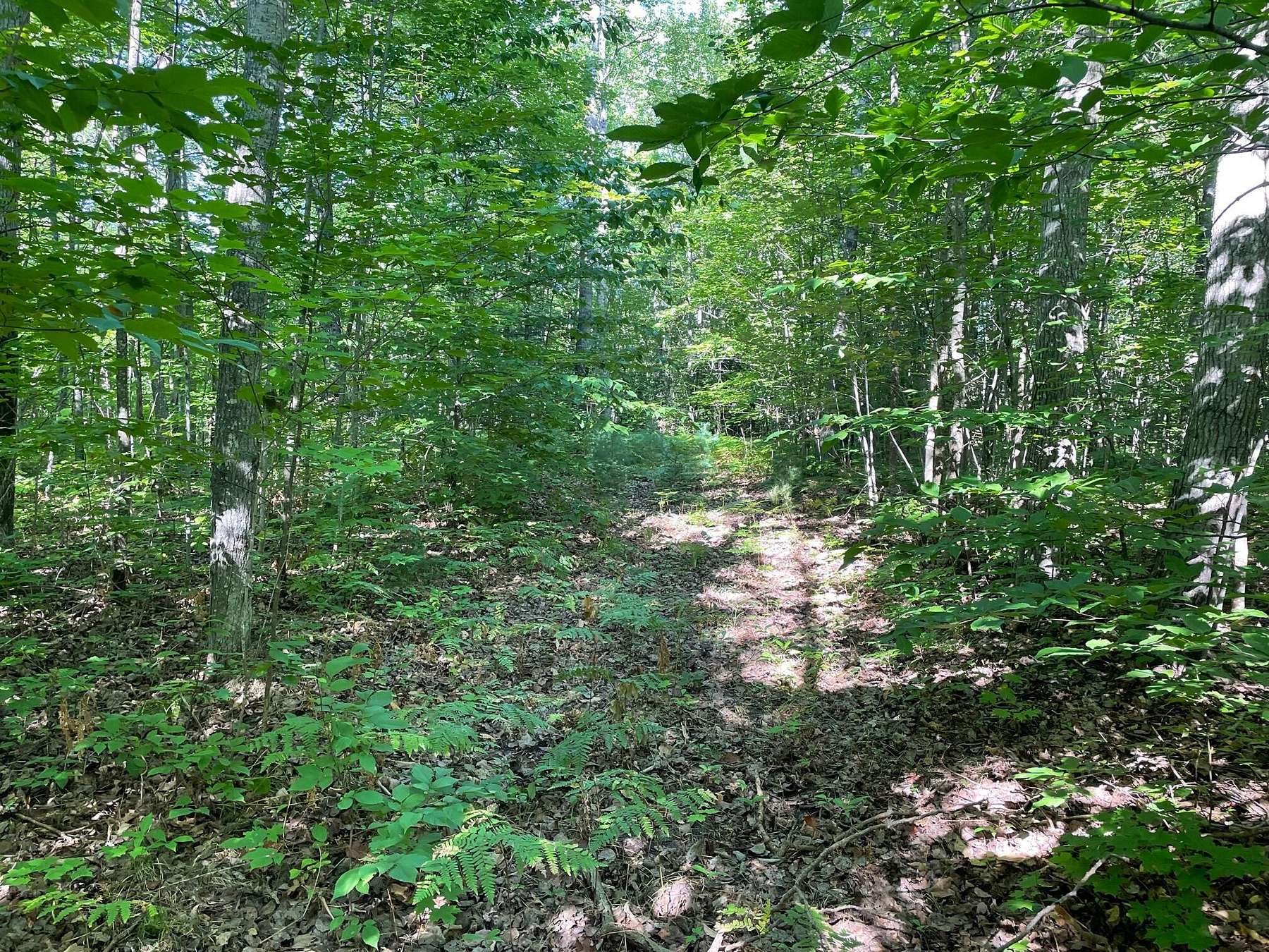 3.6 Acres of Land for Sale in Wolverine, Michigan