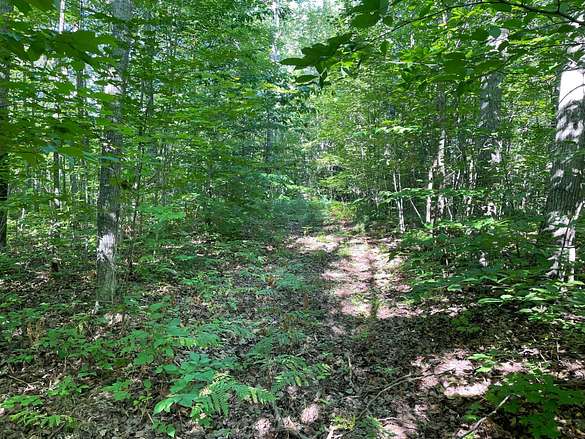 3.6 Acres of Land for Sale in Wolverine, Michigan