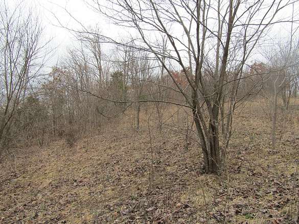 43.5 Acres of Land for Sale in Jamestown, Tennessee
