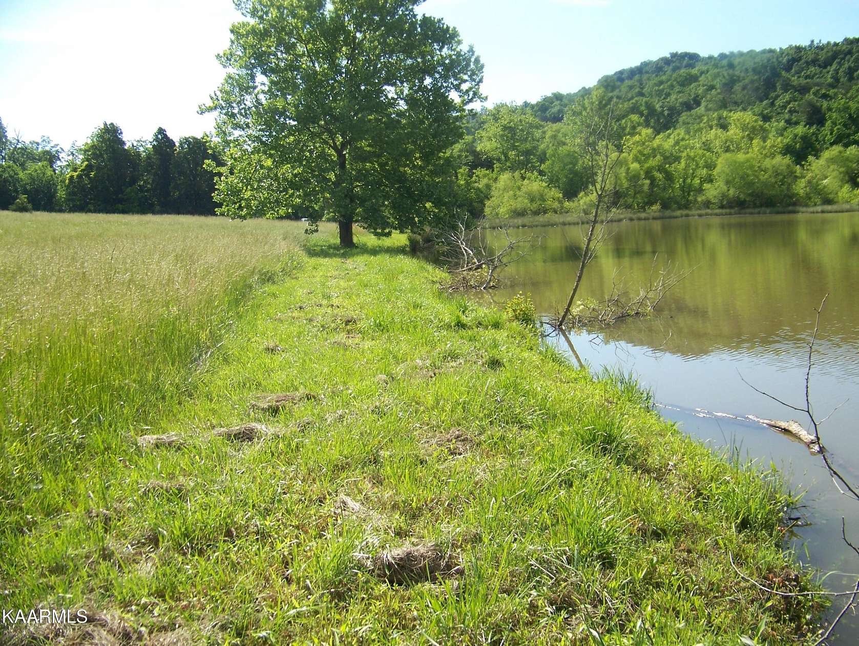 60 Acres of Land for Sale in Friendsville, Tennessee