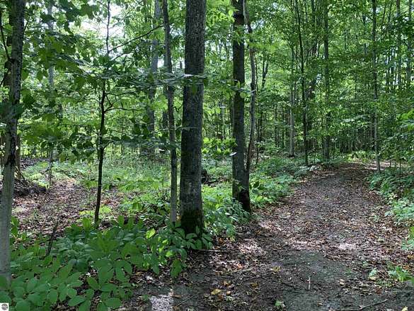 31.7 Acres of Recreational Land for Sale in Levering, Michigan