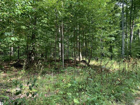 31.7 Acres of Recreational Land for Sale in Levering, Michigan - LandSearch