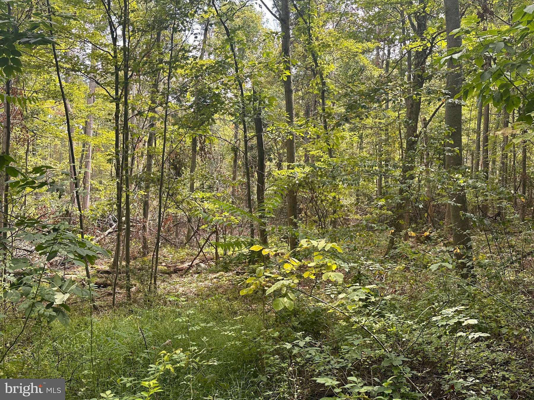 10 Acres of Recreational Land for Sale in Elk Garden, West Virginia