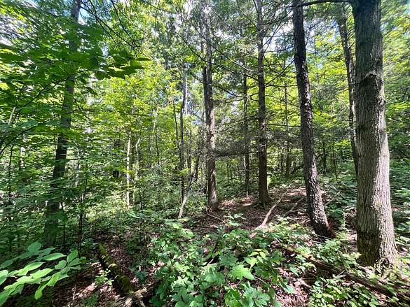 18.9 Acres of Recreational Land for Sale in Tyrone, New York