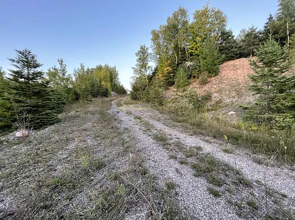 64.1 Acres of Agricultural Land for Sale in Sault Ste. Marie, Michigan
