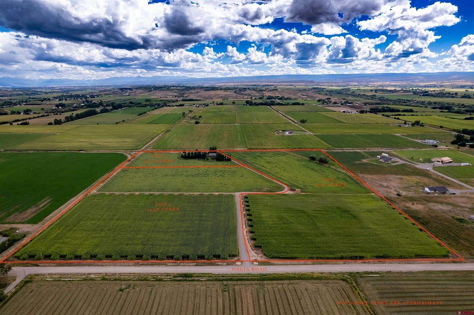 15.4 Acres of Agricultural Land for Sale in Olathe, Colorado