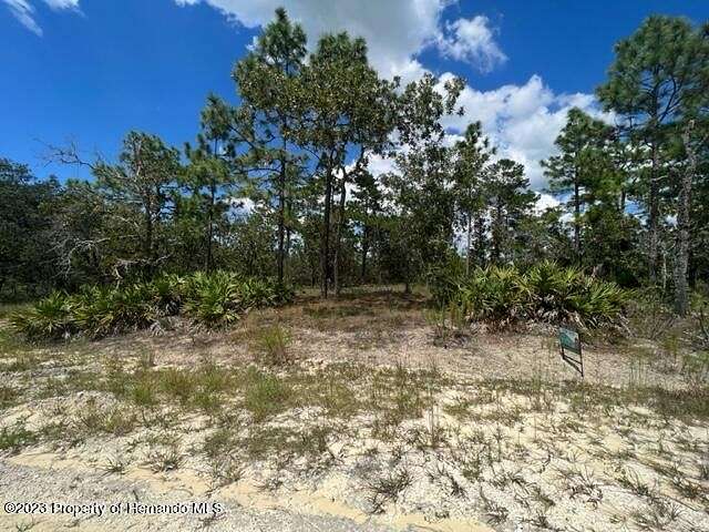 0.62 Acres of Residential Land for Sale in Weeki Wachee, Florida