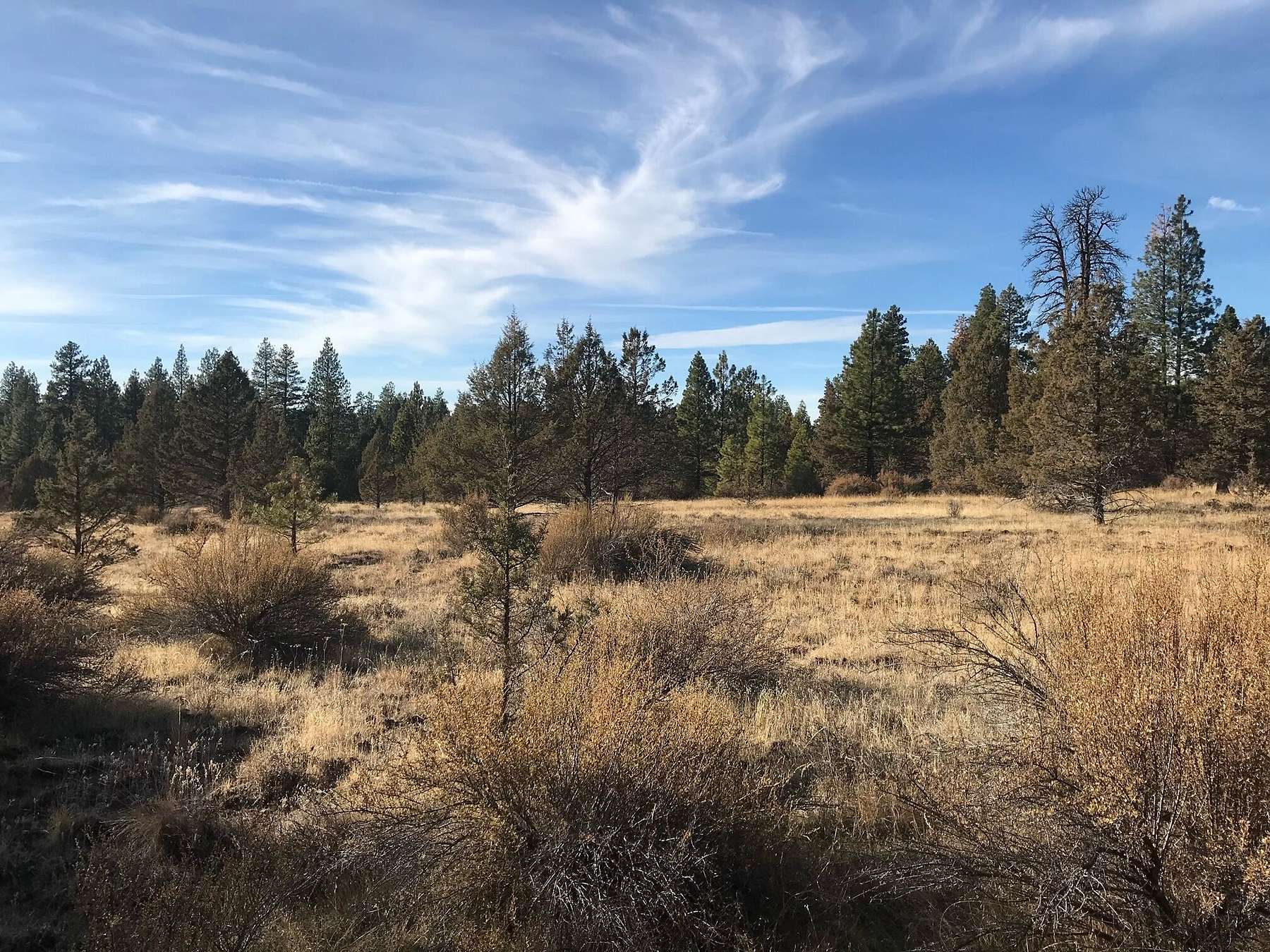 2 Acres of Residential Land for Sale in Bonanza, Oregon
