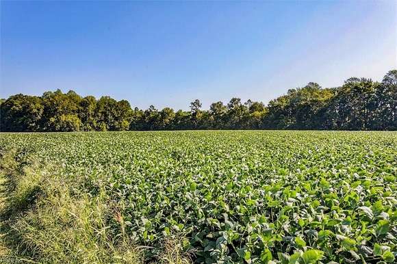 25.8 Acres of Agricultural Land for Sale in Shacklefords, Virginia