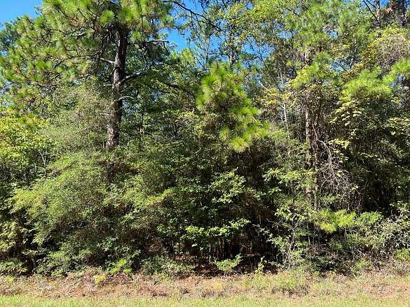 0.57 Acres of Residential Land for Sale in Brookeland, Texas