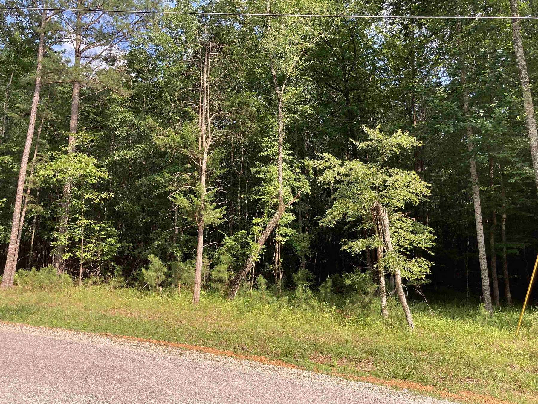 1.5 Acres of Land for Sale in Counce, Tennessee