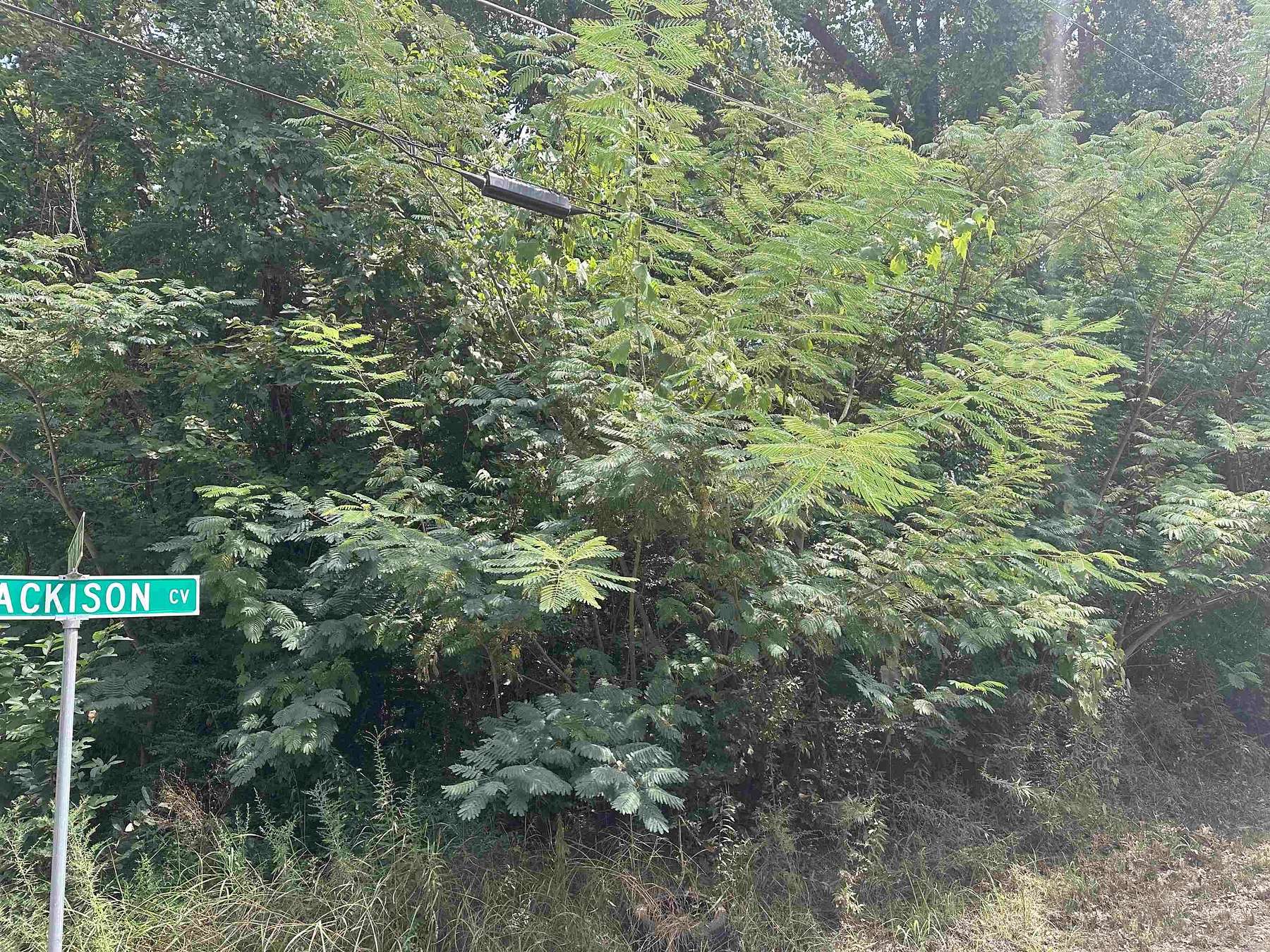 0.5 Acres of Residential Land for Sale in Memphis, Tennessee