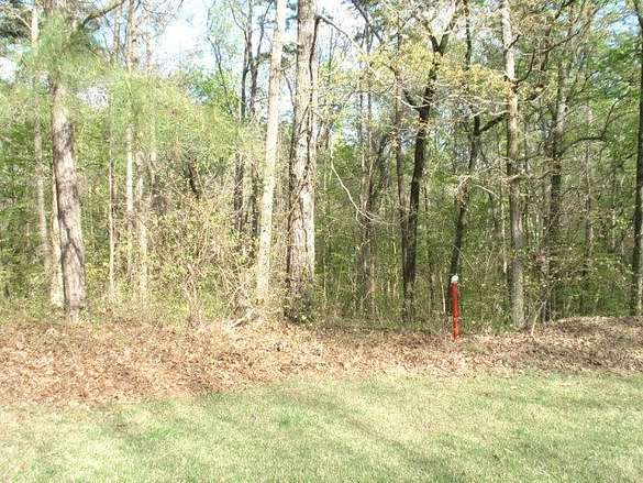 0.5 Acres of Residential Land for Sale in Counce, Tennessee