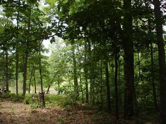 Residential Land for Sale in Counce, Tennessee