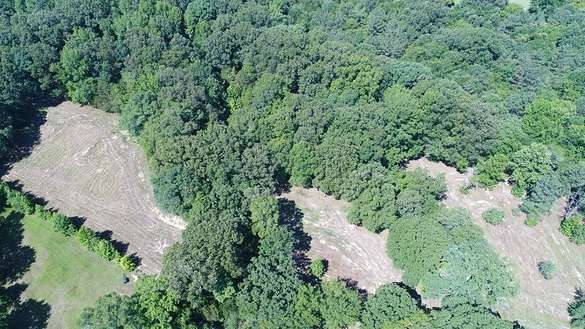 9.2 Acres of Residential Land for Sale in Eads, Tennessee