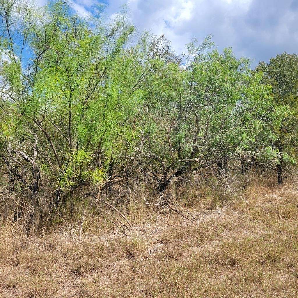 1.1 Acres of Residential Land for Sale in Woodsboro, Texas