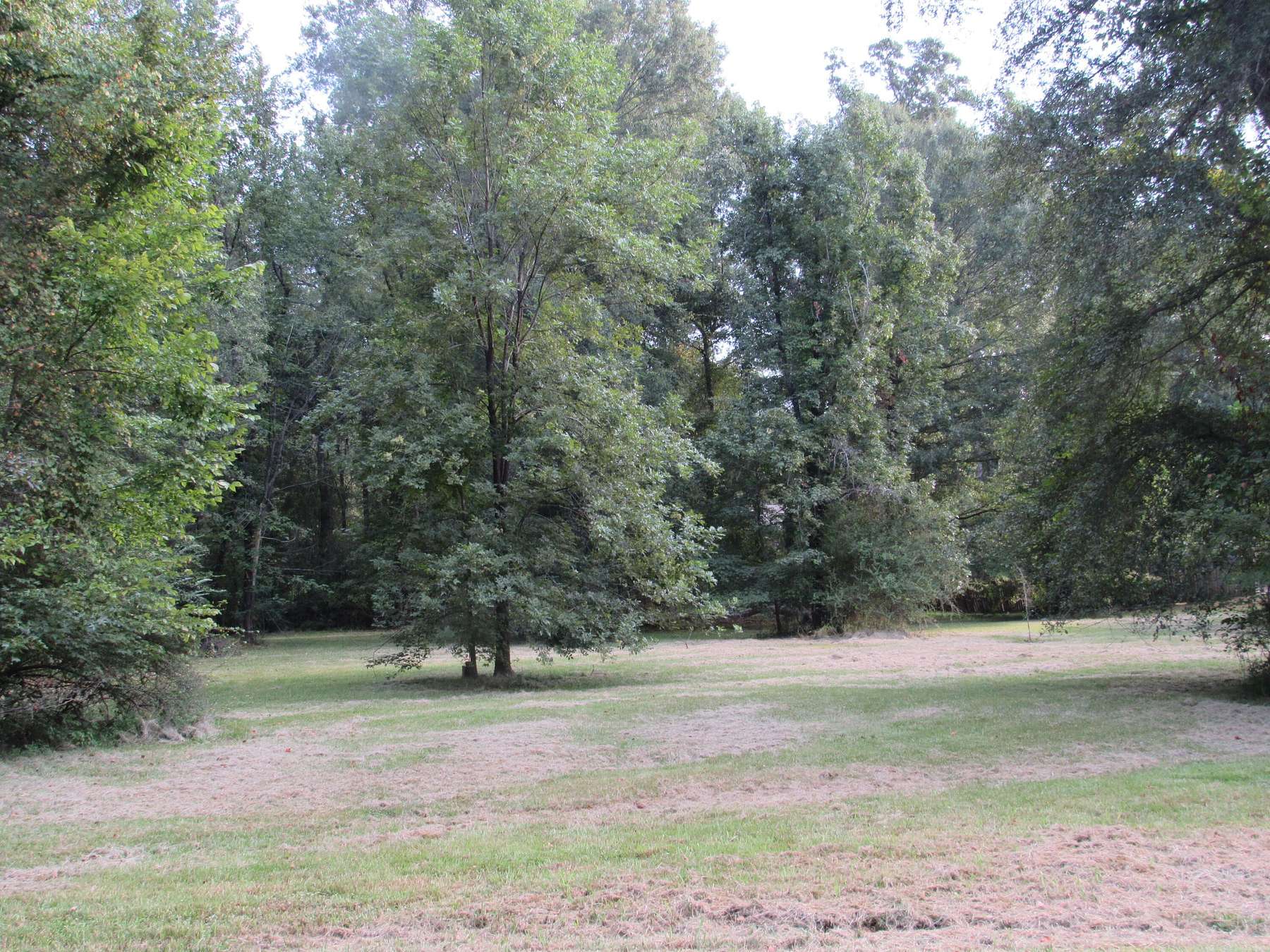0.75 Acres of Land for Sale in Columbus, Mississippi