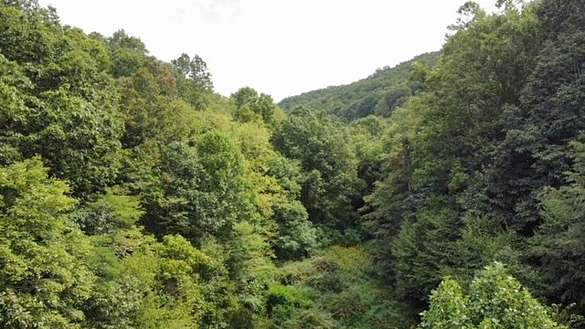 138 Acres of Recreational Land for Sale in Lindside, West Virginia