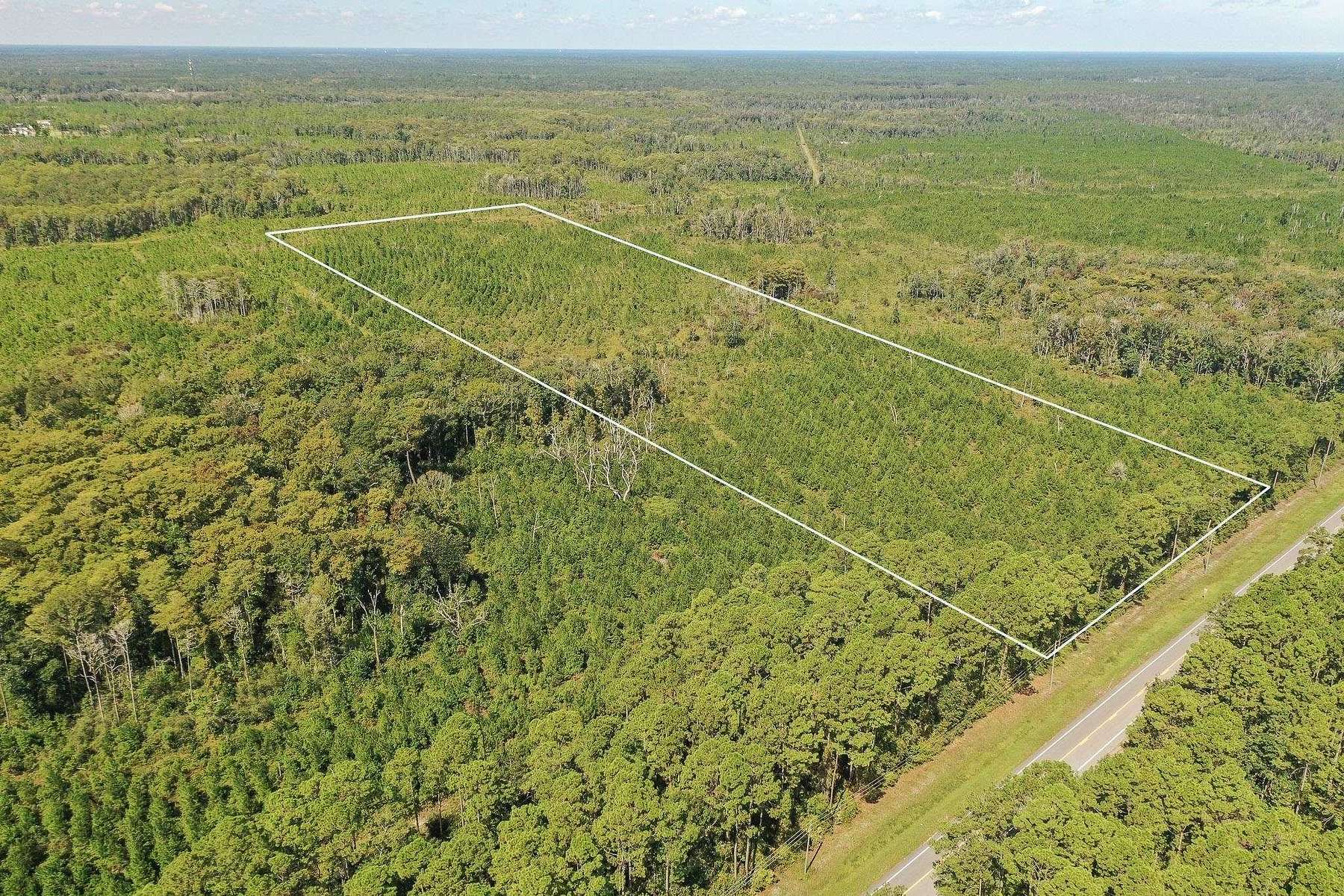 20 Acres of Recreational Land for Sale in Crawfordville, Florida