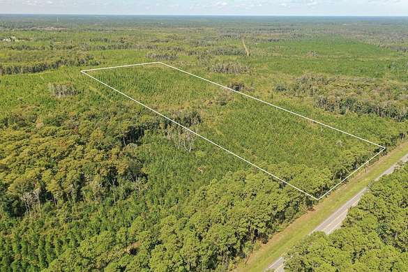 20.01 Acres of Recreational Land for Sale in Crawfordville, Florida