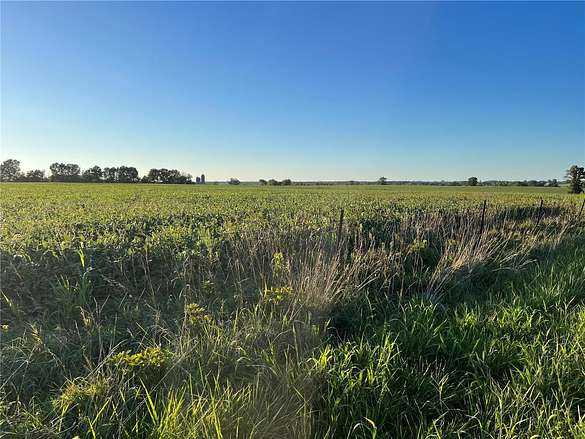 14 Acres of Land for Sale in Old Monroe, Missouri