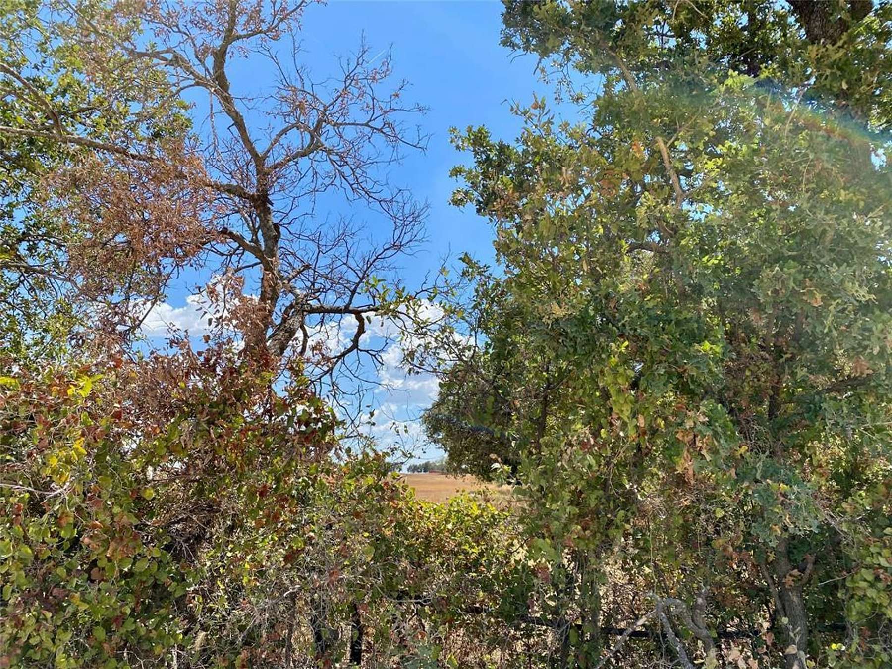 5 Acres of Residential Land for Sale in Rising Star, Texas
