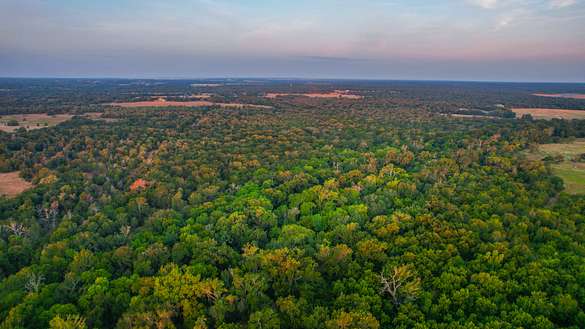 258 Acres of Recreational Land & Farm for Sale in Blue, Texas