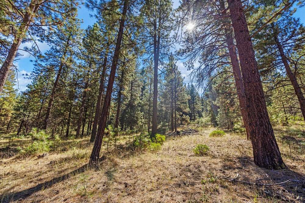 40.2 Acres of Land for Sale in Klamath Falls, Oregon