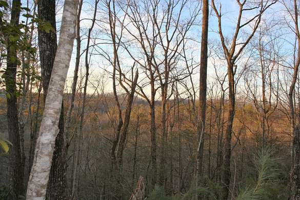 13.5 Acres of Recreational Land for Sale in Newport, Tennessee