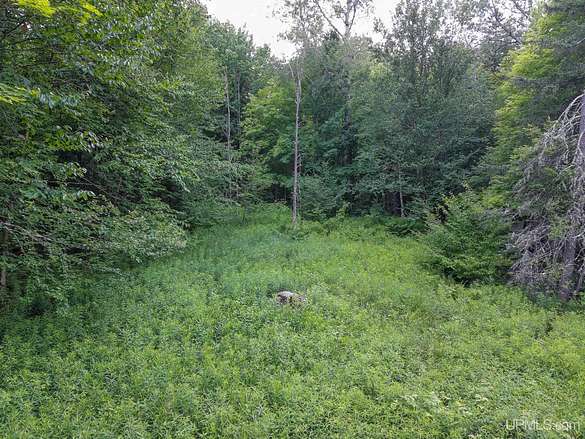38.5 Acres of Recreational Land for Sale in Ironwood, Michigan