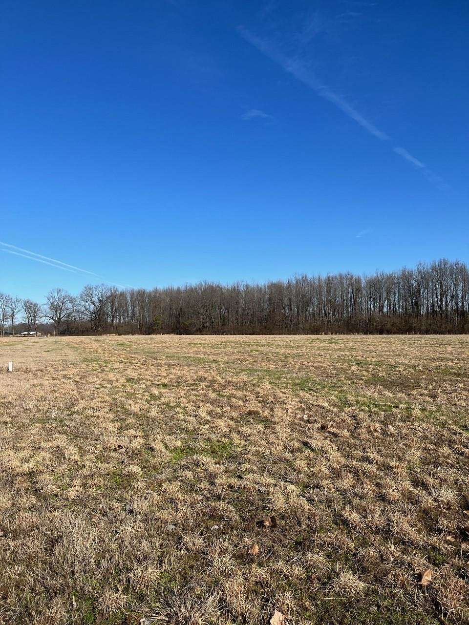 12 Acres of Land for Sale in Millington, Tennessee