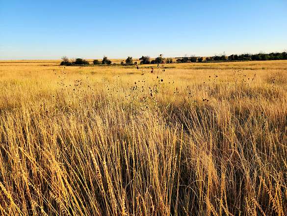 640 Acres of Recreational Land & Farm for Sale in Otis, Colorado