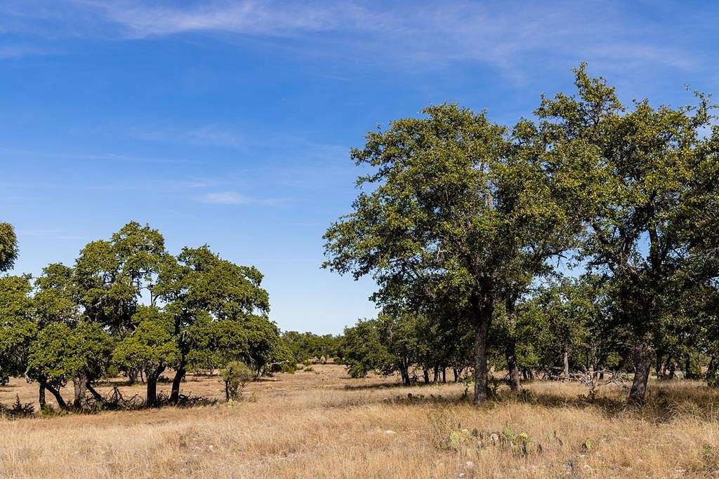 66.84 Acres of Land for Sale in Roosevelt, Texas