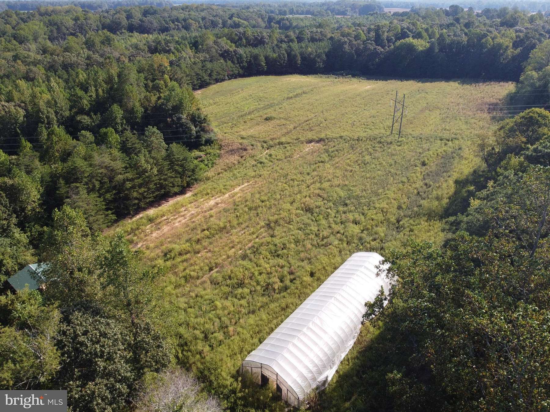 38 Acres of Agricultural Land for Sale in Warsaw, Virginia