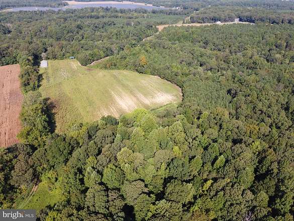 38 Acres of Agricultural Land for Sale in Warsaw, Virginia