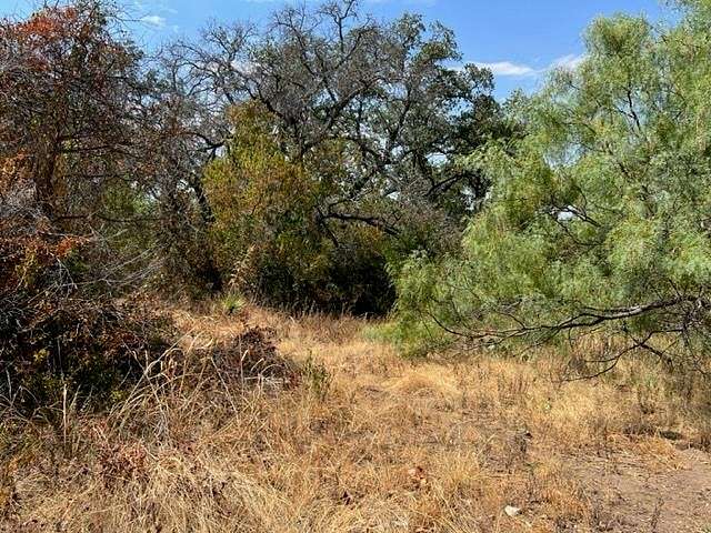 Land for Sale in Brady, Texas